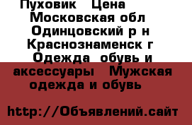 Пуховик › Цена ­ 300 - Московская обл., Одинцовский р-н, Краснознаменск г. Одежда, обувь и аксессуары » Мужская одежда и обувь   